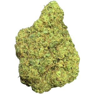 Moby Dick CBD indoor