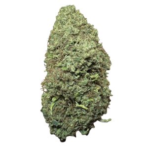 Mango Greenhouse CBD