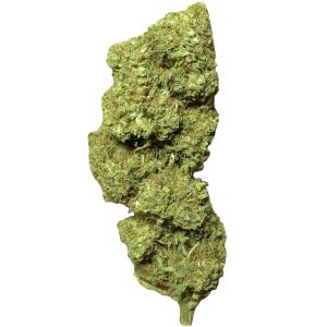 Flores CBD greenhouse