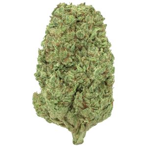 Northern Light Hydro