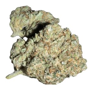 watermelon cbd hidropónico