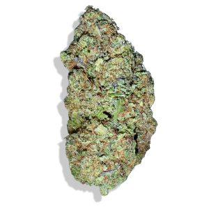 RUNTZ CBD HIDROPÓNICA