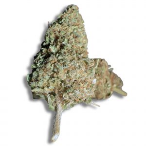 orangello cbd greenhouse