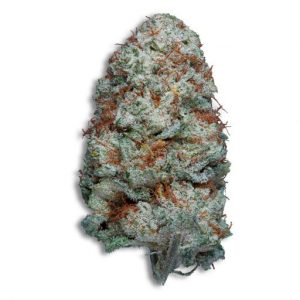 white russian cbd