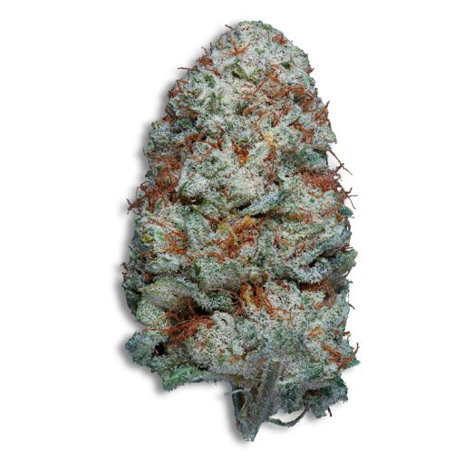 white russian cbd