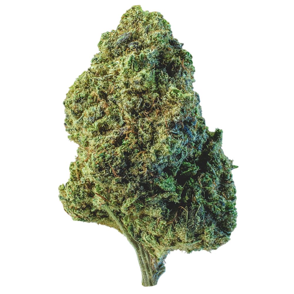 Cogollo de flor CBD indoor de genética derivada de Gelato