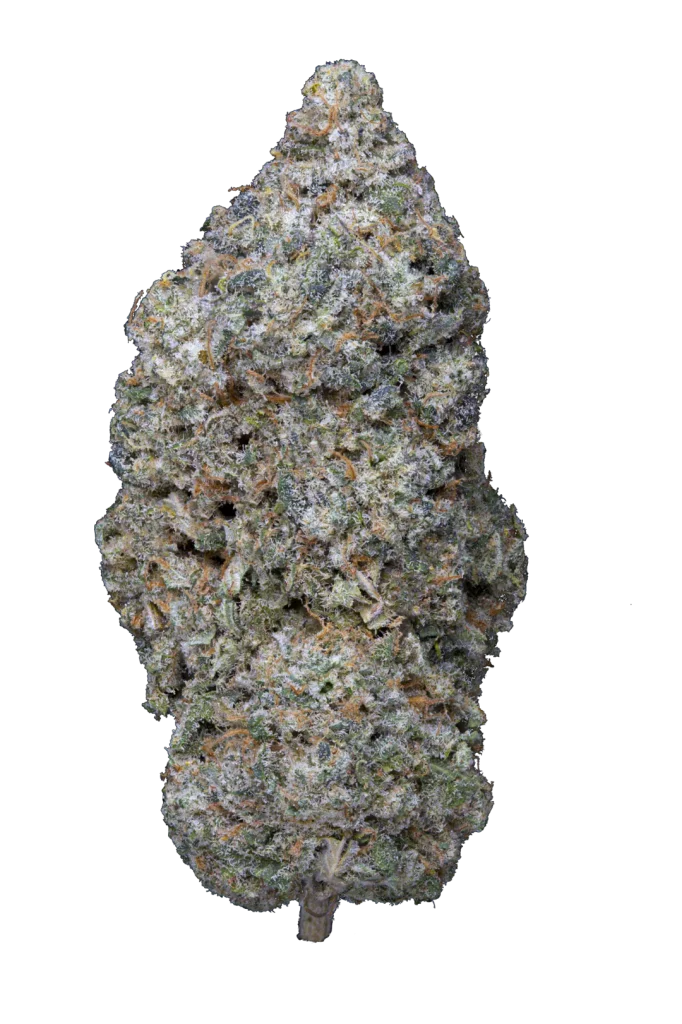 Cogollo de Legendary Skunk CBD con tricomas visibles