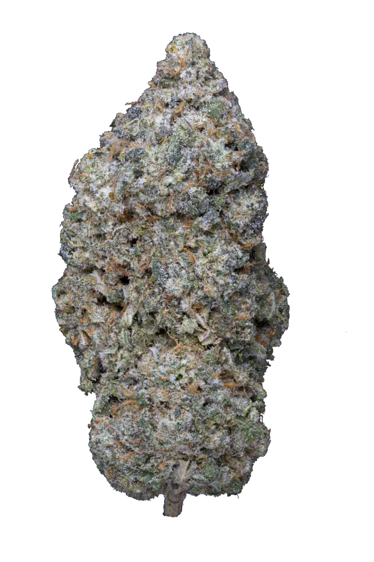 LEGENDARY SKUNK