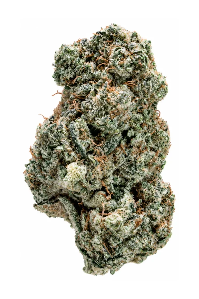 Northern Light CBD