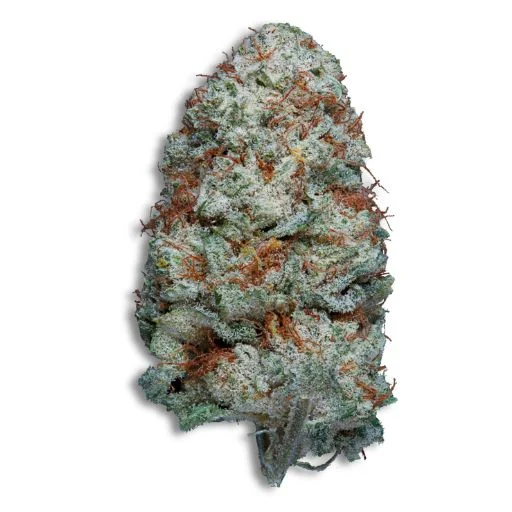 WHITE RUSSIAN CBG