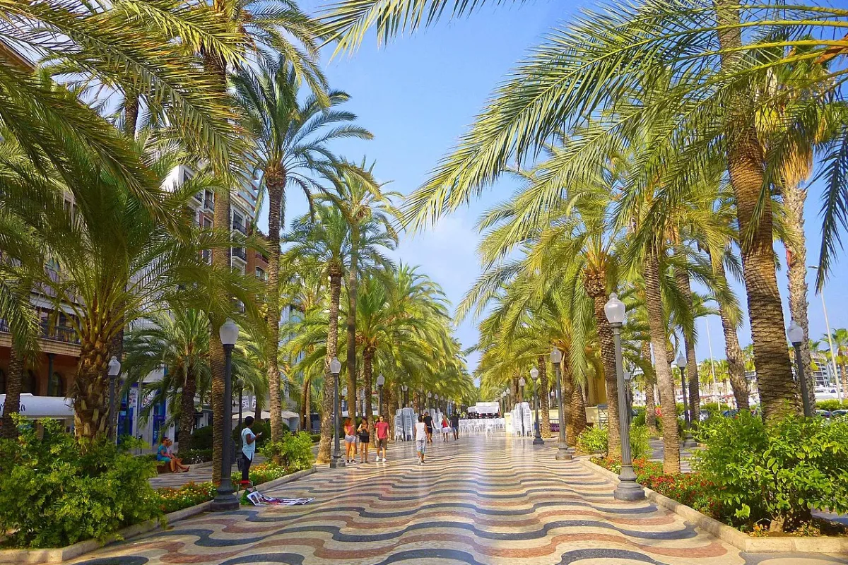 Paseo de la Explanada de España en Alicante, con sus palmeras