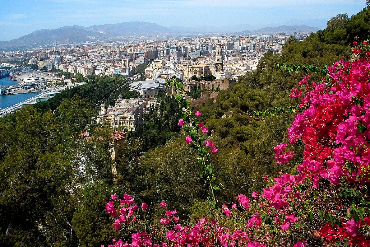 Vista de Málaga y su puerto desde Gibralfaro, con buganvillas en flor