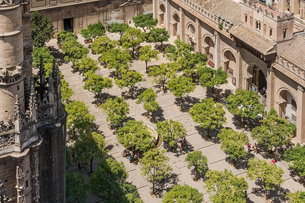 Patio de los Naranjos de la catedral de Sevilla visto desde la Giralda
