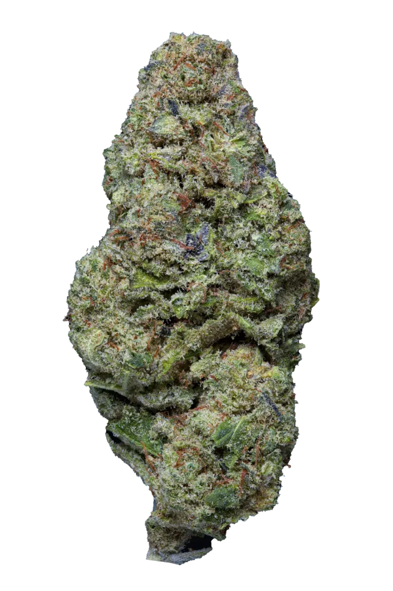 DIESEL