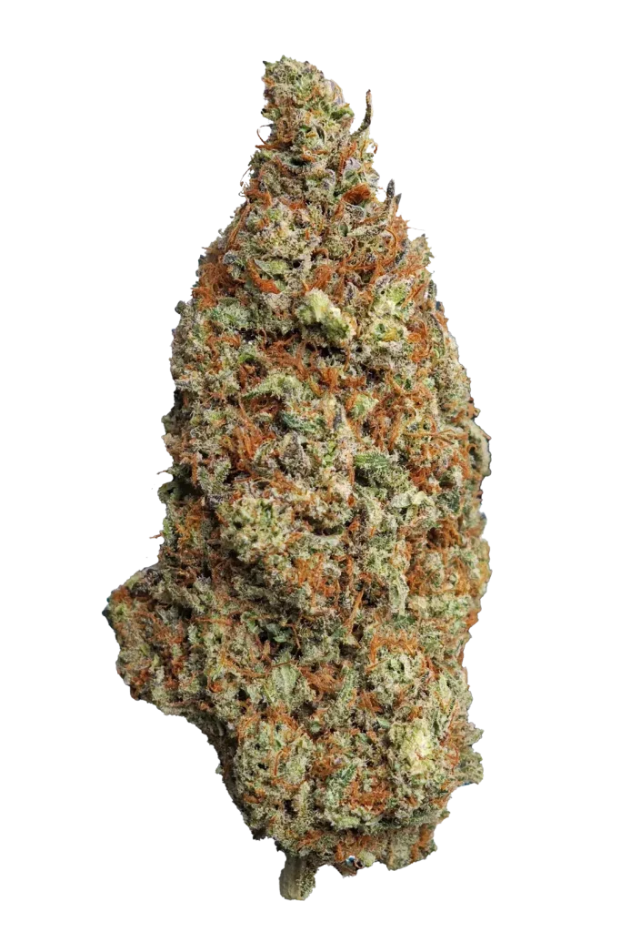 God Father OG, flor CBD de cultivo Indoor Hydro LED