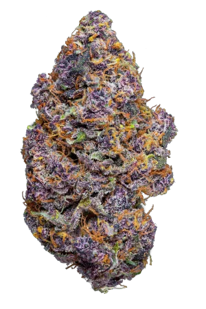 Cogollo de Purple CBD, flor de CBD indoor premium - Green Dealer