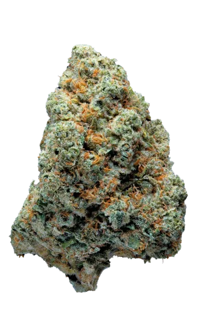Cogollo de Super Lemon Haze CBD, flor de CBD indoor premium - Green Dealer