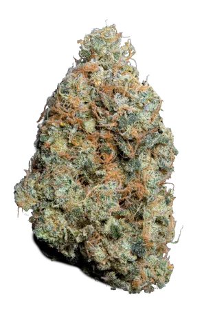 Cogollo de Watermelon CBD, flor de CBD premium - Green Dealer